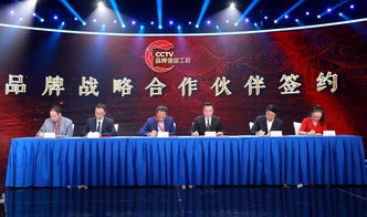 吴乃峰总裁等集团领导出席中央广播电视总台 品牌强国工程 发布活动