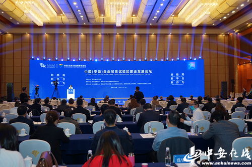 中国 安徽 自由贸易试验区建设发展论坛举行
